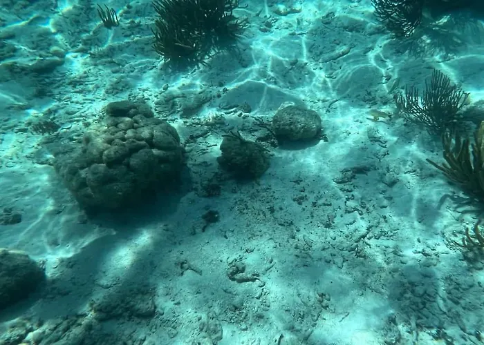 Residences At Barrier Reef 8b Oceanview 2 Bedroom By Floreo * San Pedro (Ambergris Caye)
