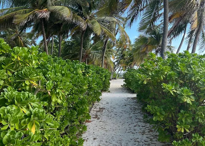 Residences At Barrier Reef 8b Oceanview 2 Bedroom By Floreo Holiday home *
