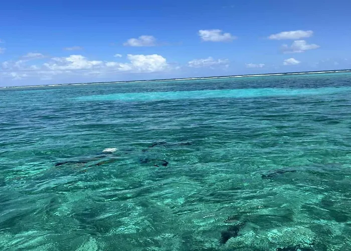 Holiday home Residences At Barrier Reef 8b Oceanview 2 Bedroom By Floreo